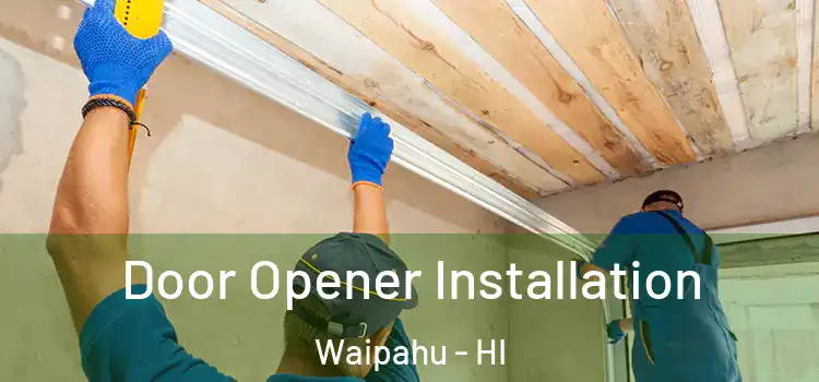  Door Opener Installation Waipahu - HI