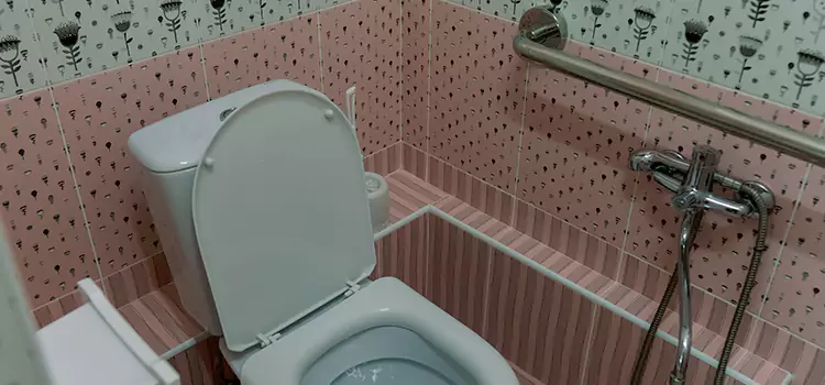 Meeting Diverse Needs With Accessible Restroom Solutions in Waipahu, HI