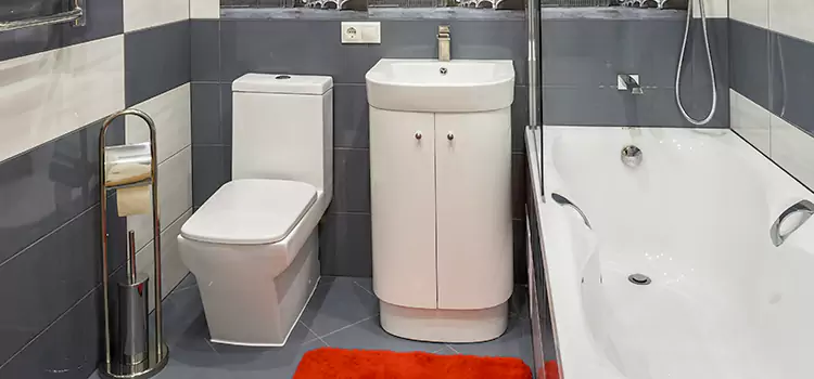 Hansgrohe Shaving Mirror Waipahu
